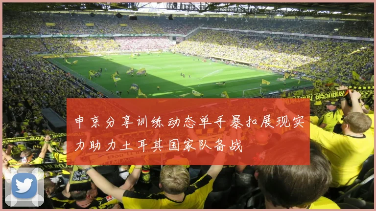 申京分享训练动态单手暴扣展现实力助力土耳其国家队备战