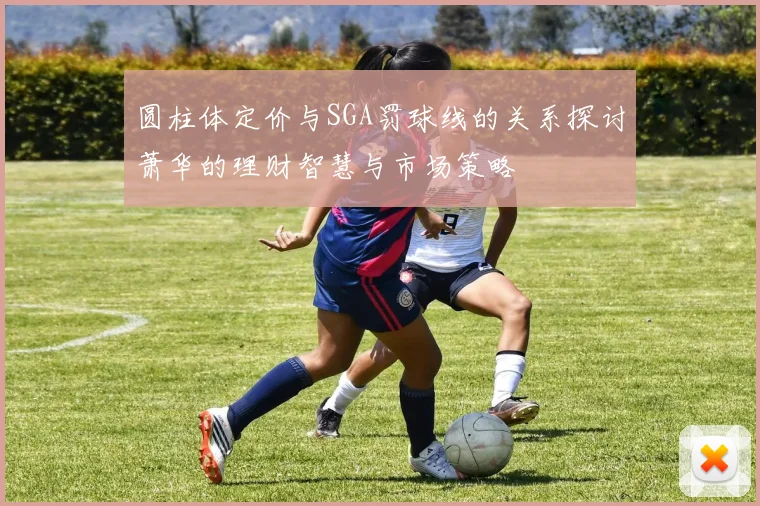 圆柱体定价与SGA罚球线的关系探讨萧华的理财智慧与市场策略