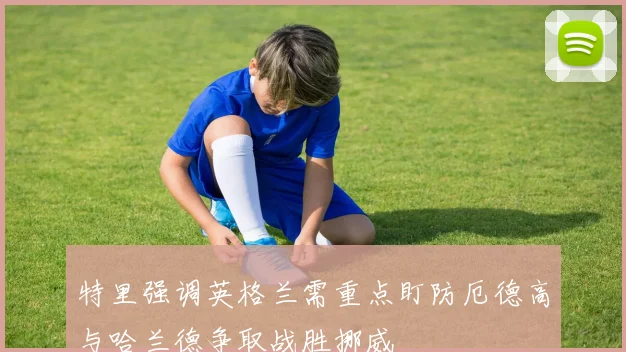 特里强调英格兰需重点盯防厄德高与哈兰德争取战胜挪威