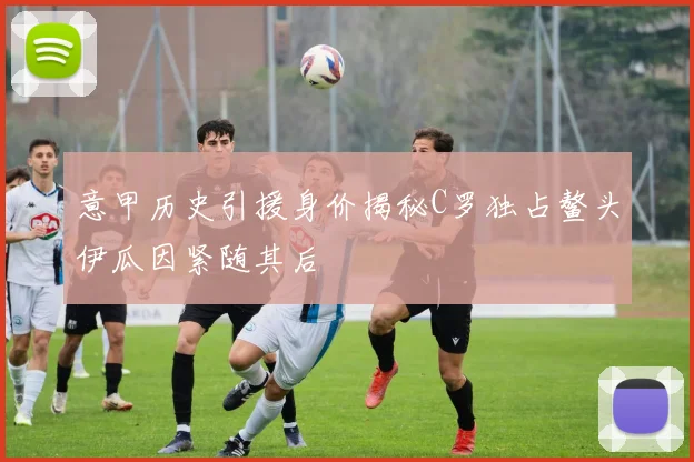意甲历史引援身价揭秘C罗独占鳌头伊瓜因紧随其后